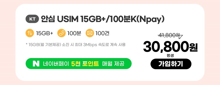 KT 안심 USIM 15GB+/100분K(Npay) 데이터 15GB+ 통화 100분 문자 100건 * 15GB(월 기본제공)기본제공량 소진 시 3Mbps로 무한 제공 네이버페이 5천 포인트 매월 제공 30,800원 평생 가입하기