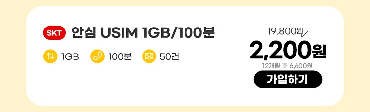 SKT 안심 USIM 1GB/100분 데이터 1GB 통화 100분 문자 50건 2,200원 12개월 후 6,600원 가입하기