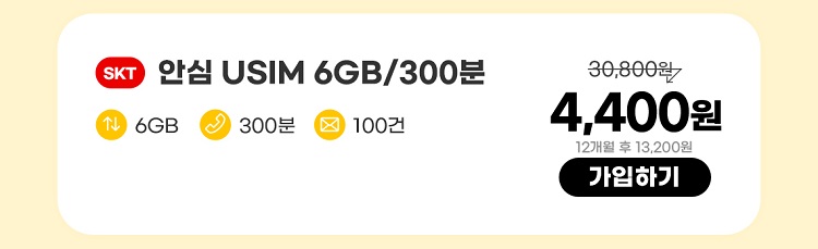 SKT 안심 USIM 6GB/300분 데이터 6GB 통화 300분 문자 100건 4,400원 12개월 후 13,200원 가입하기