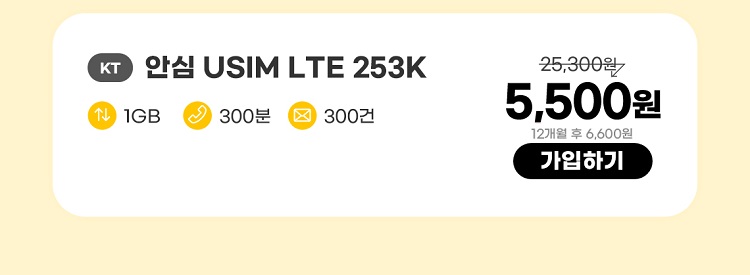  KT 안심 USIM LTE 253분K 데이터 1GB 통화 300분 문자 300건 5,500원 12개월 후 6,600원 가입하기