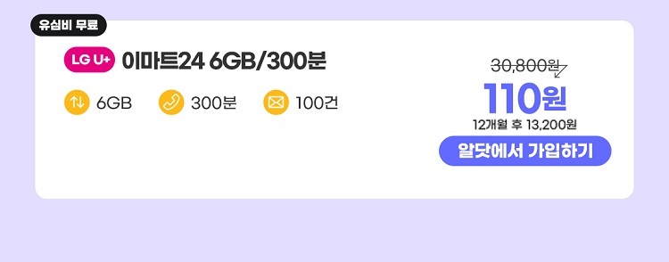 12개월 6GB/300분