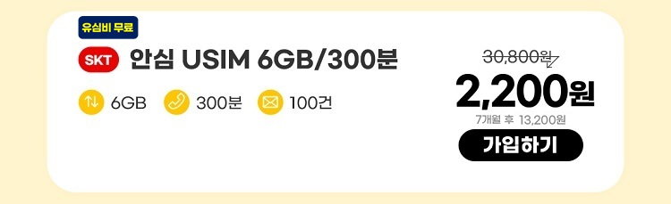 SKT 안심 USIM 6GB/300분 데이터 6GB 통화 300분 문자 100건 2,200원 7개월 후 13,200원 가입하기